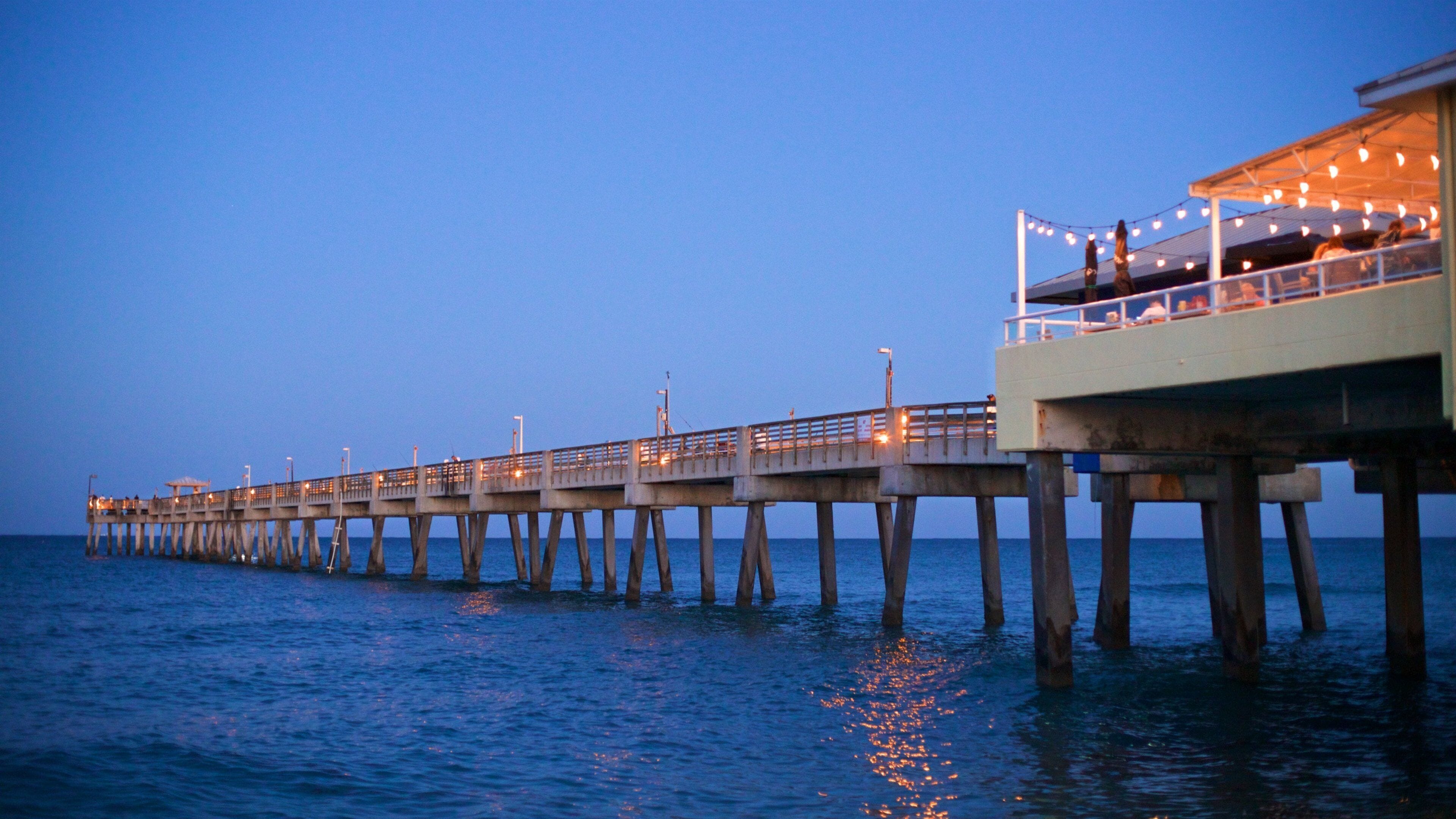 Dania Beach showing general coastal views and night scenes