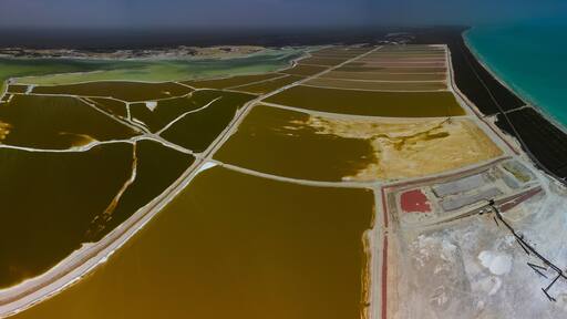 Pink lakes and ocean, nature in Las Coloradas, Mexico
