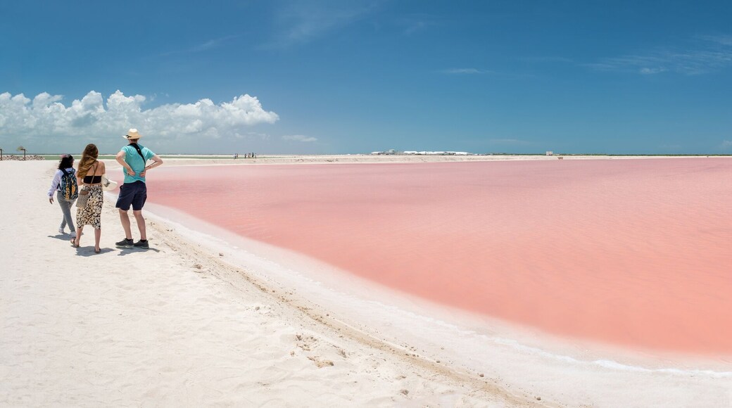 Pink lake with white salt near the shore. In the background, a salt factory against a blue sky. Las Coloradas, Yucatan, Mexico