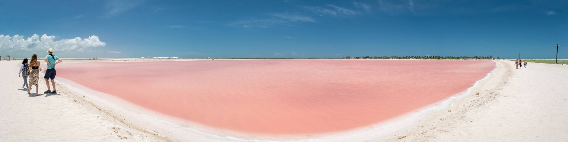 A pink salt flat with people walking along the edge.