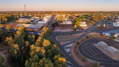 Panoramic aerial view of a regional town in early morning light