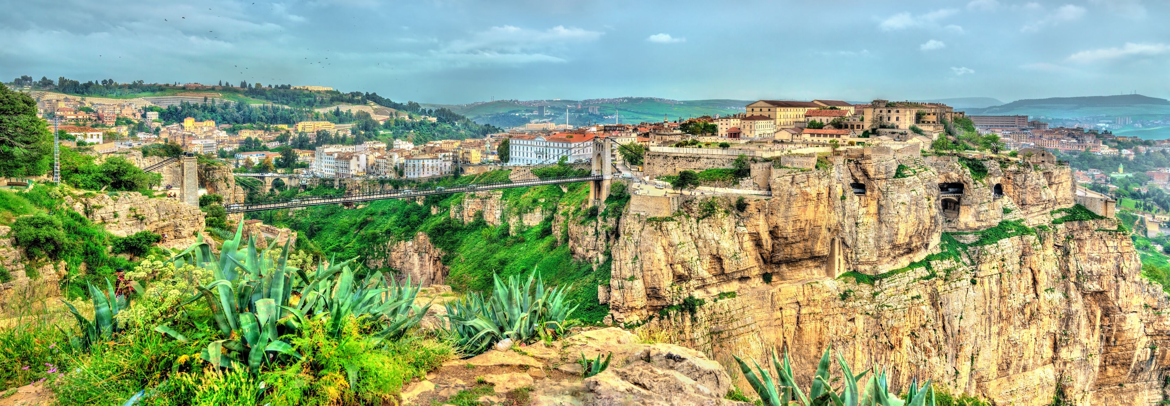 A city with a prominent castle on a cliff, a bridge, and lush greenery.