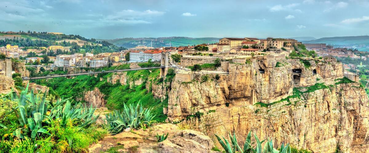 A city with a prominent castle on a cliff, a bridge, and lush greenery.