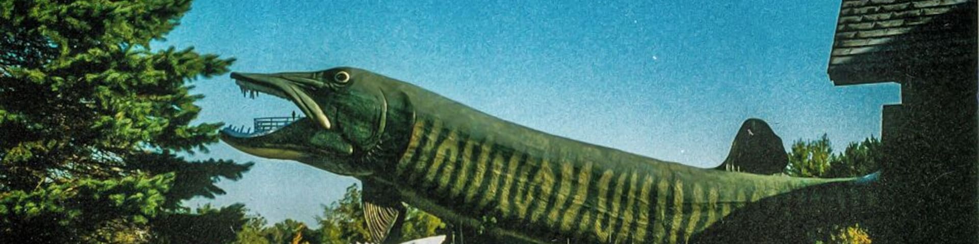 Muskie Festival in June. Hayward, Wisconsin in general is a lot of fun. With the Muskie fest, the national lumberjack competition, and the birkebeiner race in February.