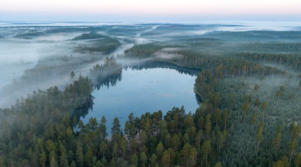 A lake surrounded by dense forest with a misty atmosphere.