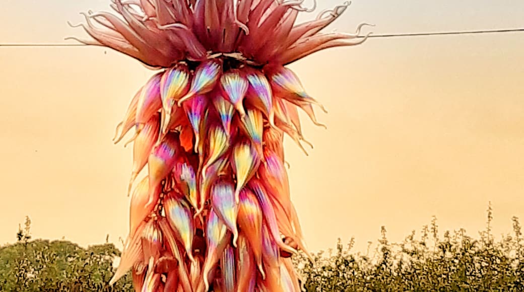 Made entirely of glass