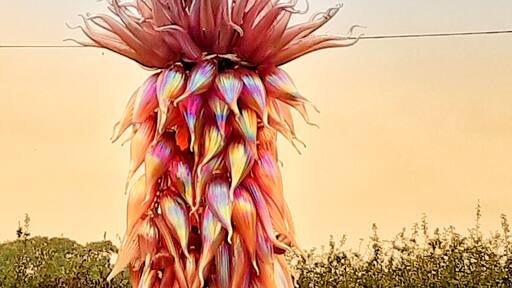 Made entirely of glass