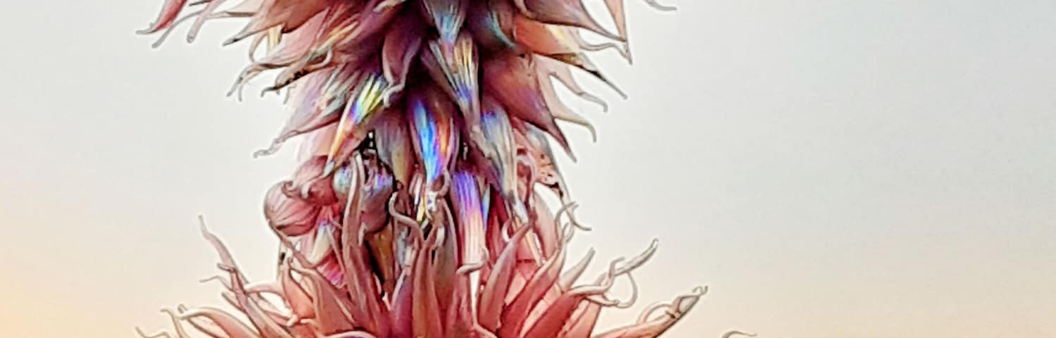 Made entirely of glass