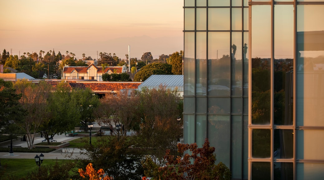 Late afternoon view of the central business district of Westminster, California, USA.