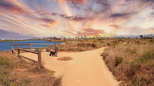 Bench overlooking the peaceful and tranquil marsh of Bolsa Chica wetlands