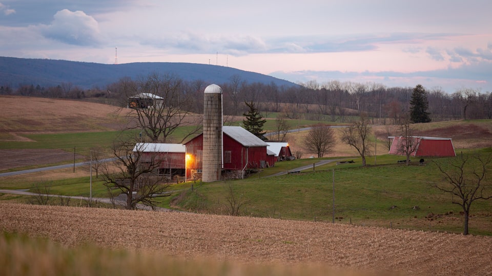 A rural landscape with a silo, barns, and rolling hills.