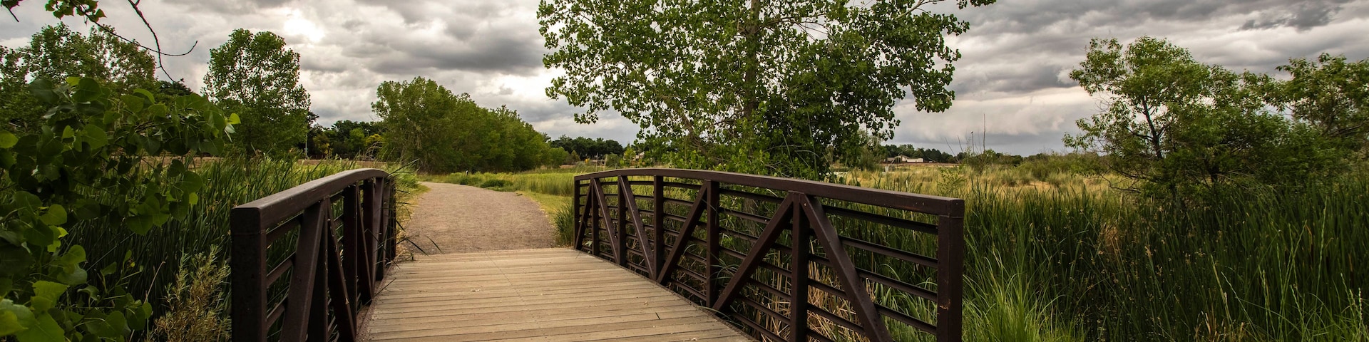 A wooden bridge with metal railings, surrounded by lush greenery and a cloudy sky.