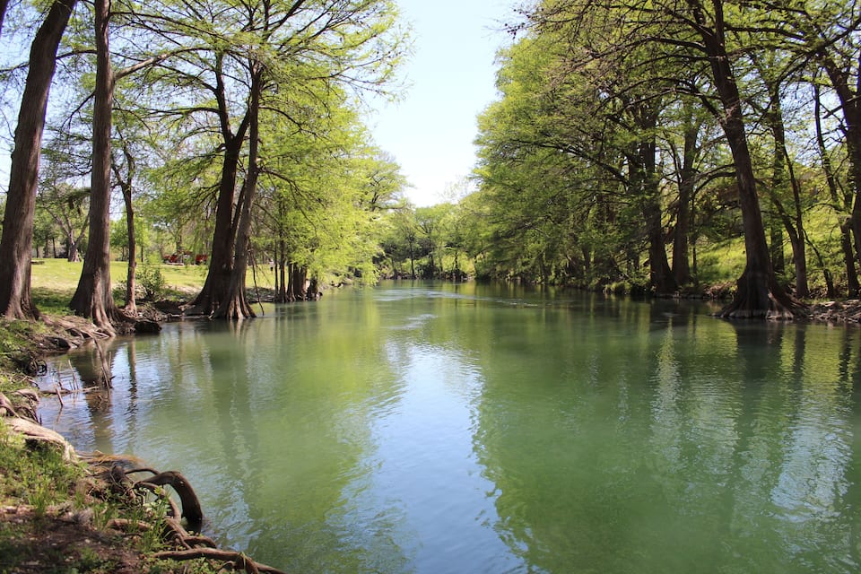 A river surrounded by trees and grassy banks.