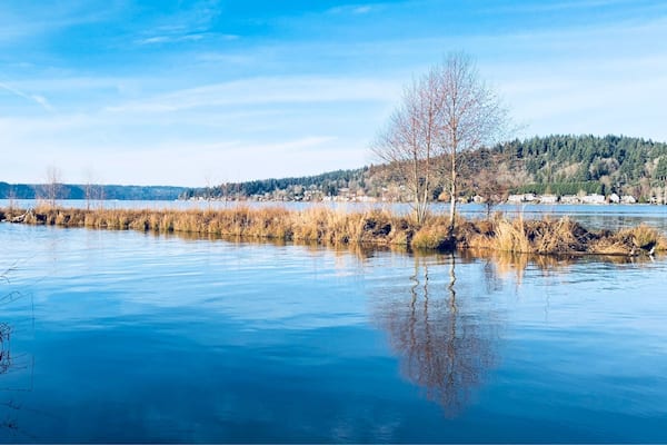 Seattle on a sunny day