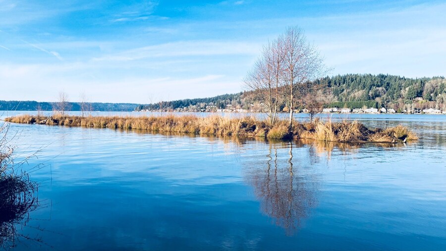 Seattle on a sunny day