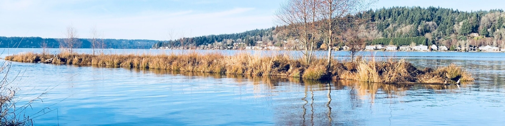 Seattle on a sunny day
