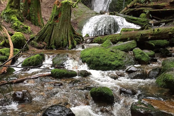 One of my favorite places to hike back to on Cougar Mountain.