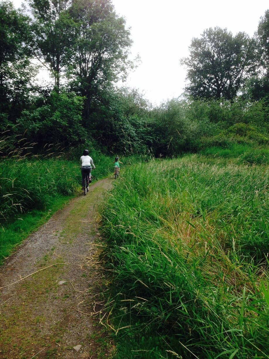 Nice trails for family mt biking. 