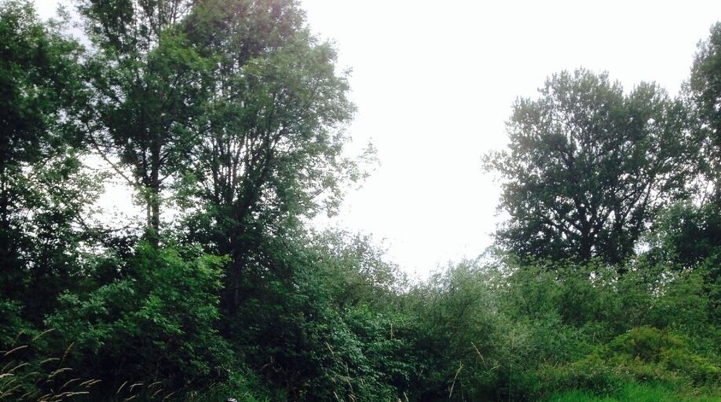 Nice trails for family mt biking.