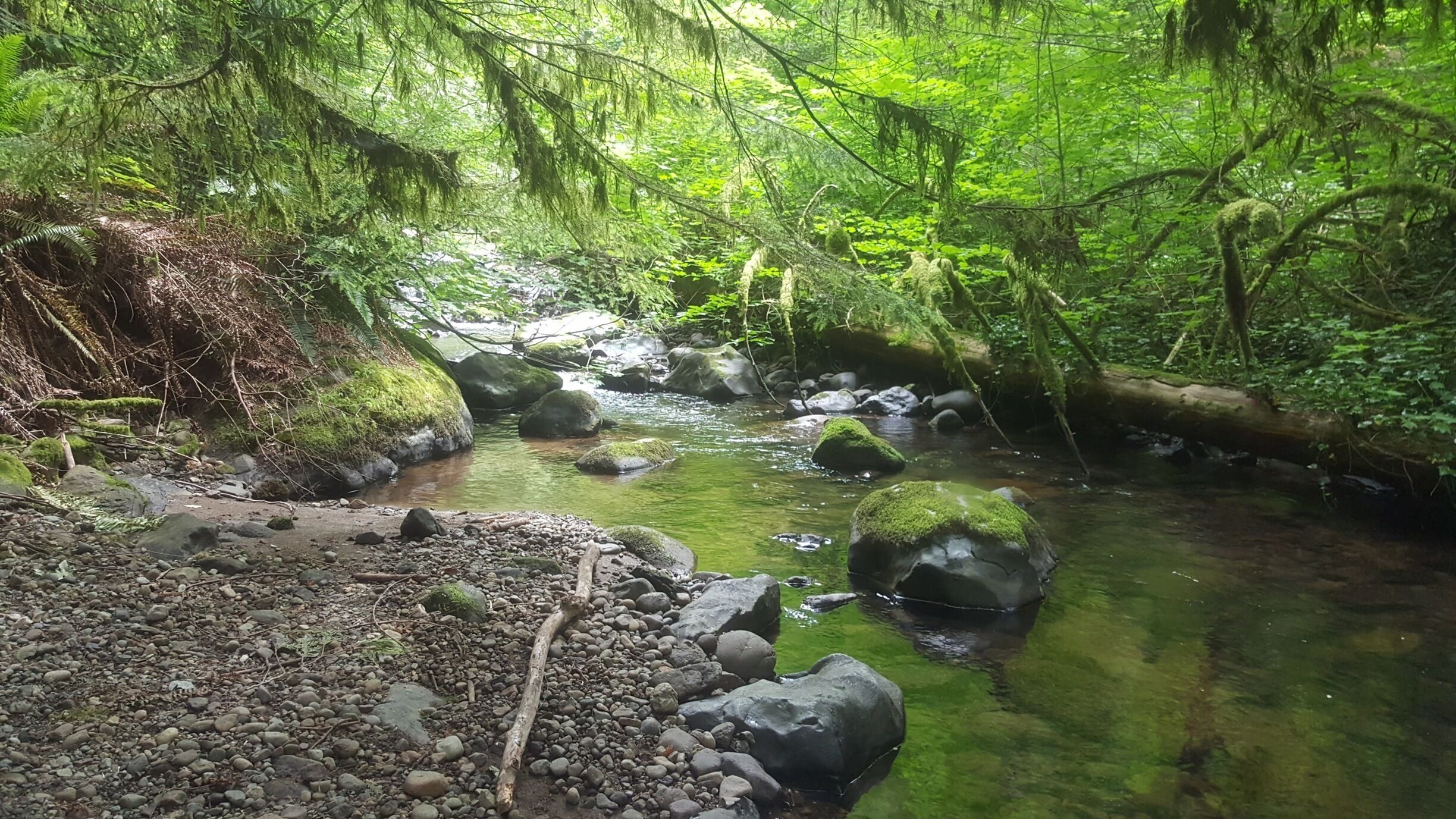 I love stopping here on bike rides.