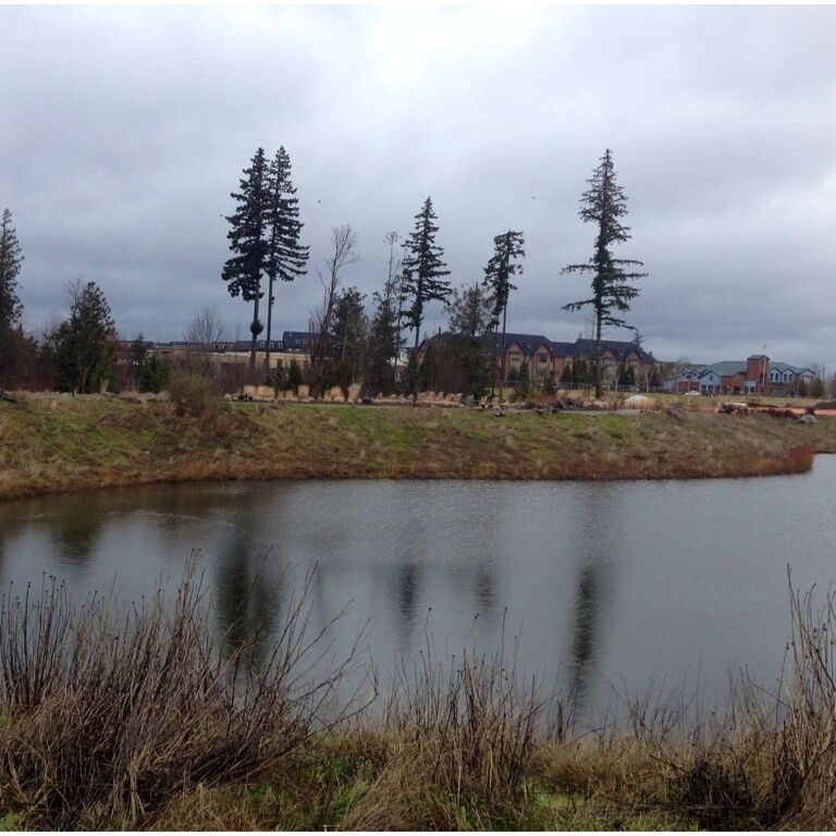 Great little spot super close to the Issaquah Highlands Caffe Ladro. #geocaching