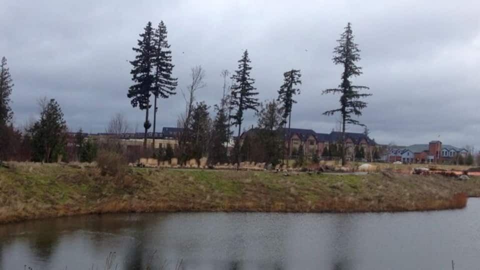 Great little spot super close to the Issaquah Highlands Caffe Ladro. #geocaching