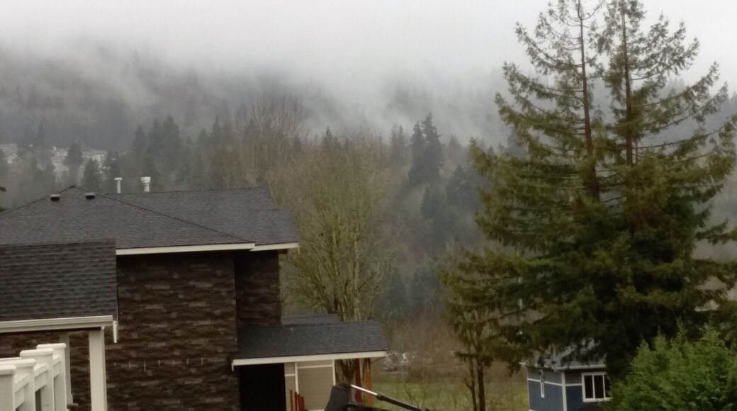 "A beautiful place to live "