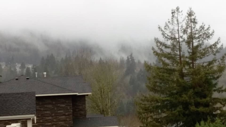 "A beautiful place to live "