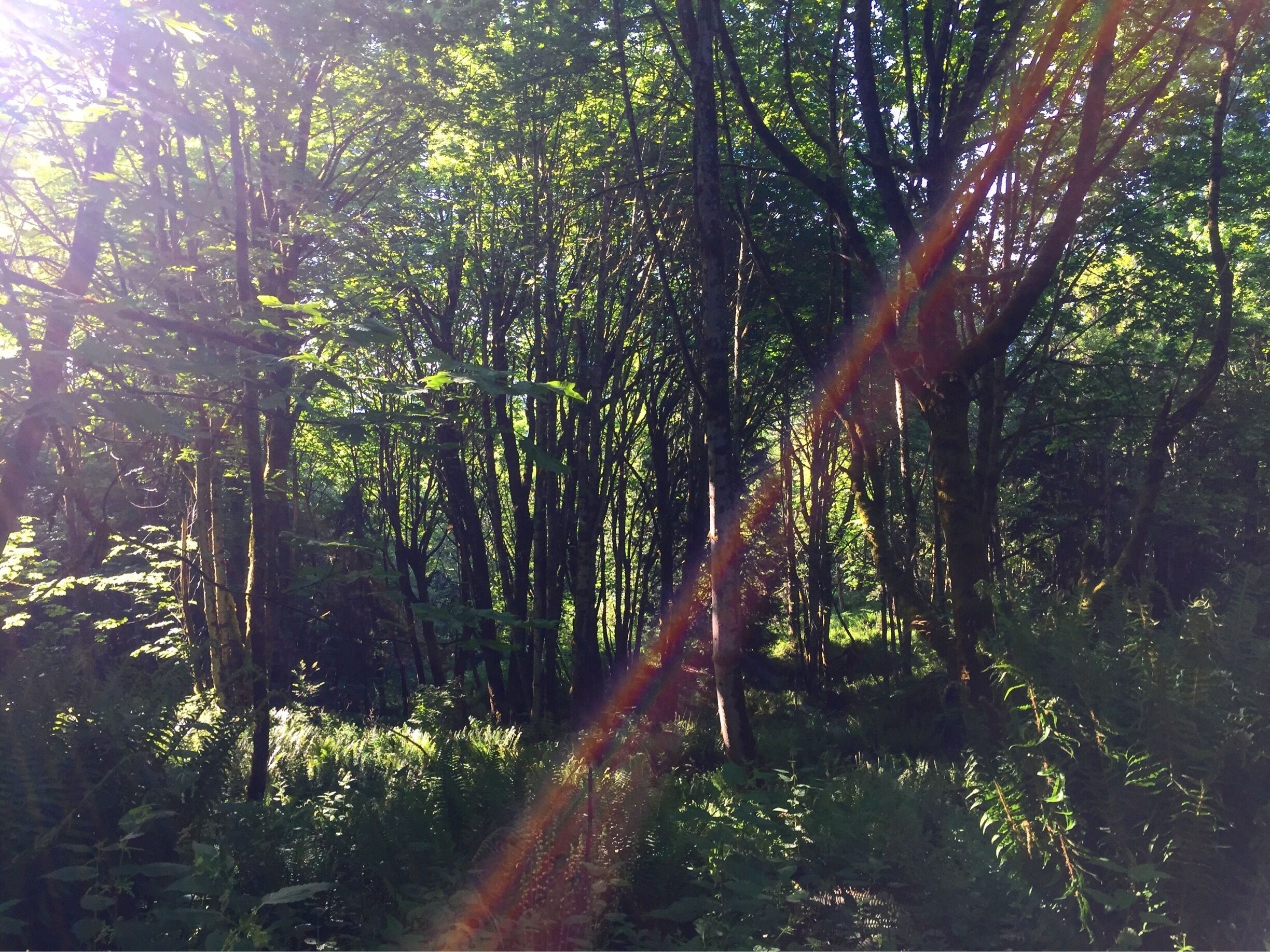 Happy trails!
#lifeatexpedia