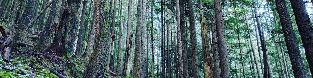 Fantastic place to hike if you are looking for somewhere nearby!
#LifeAtExpedia #green