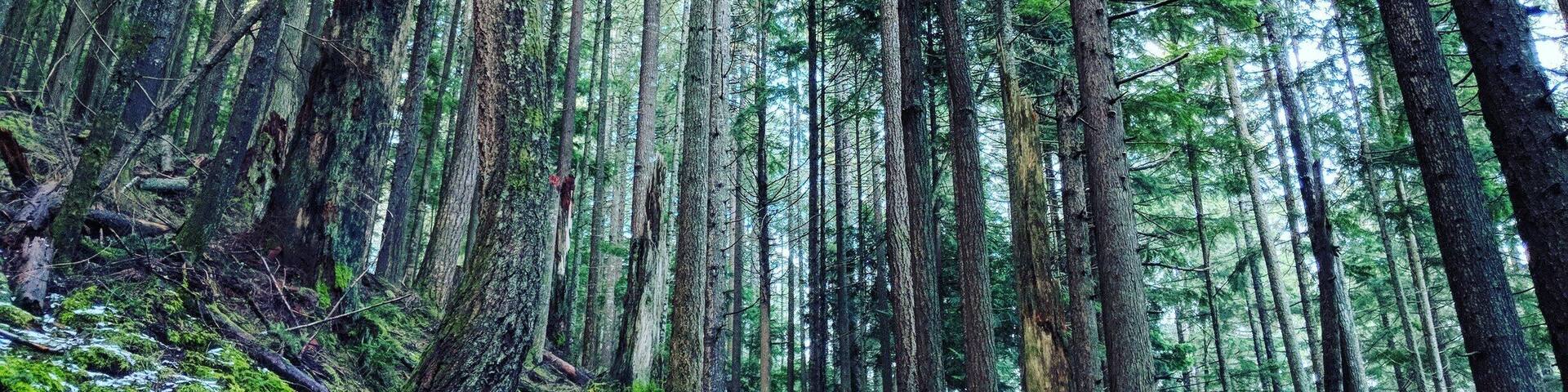 Fantastic place to hike if you are looking for somewhere nearby!
#LifeAtExpedia #green