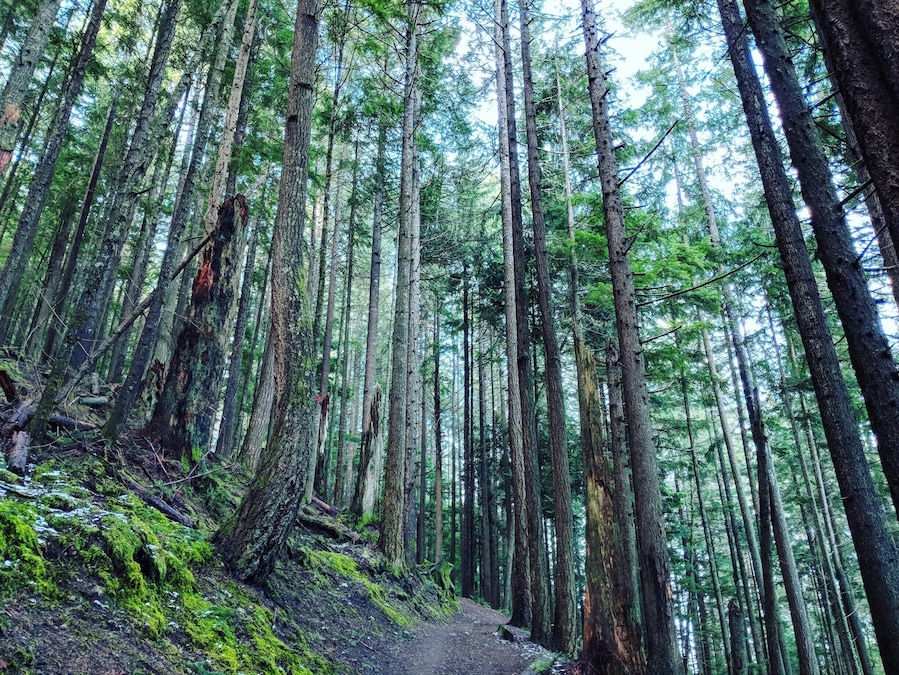 Fantastic place to hike if you are looking for somewhere nearby!
#LifeAtExpedia #green
