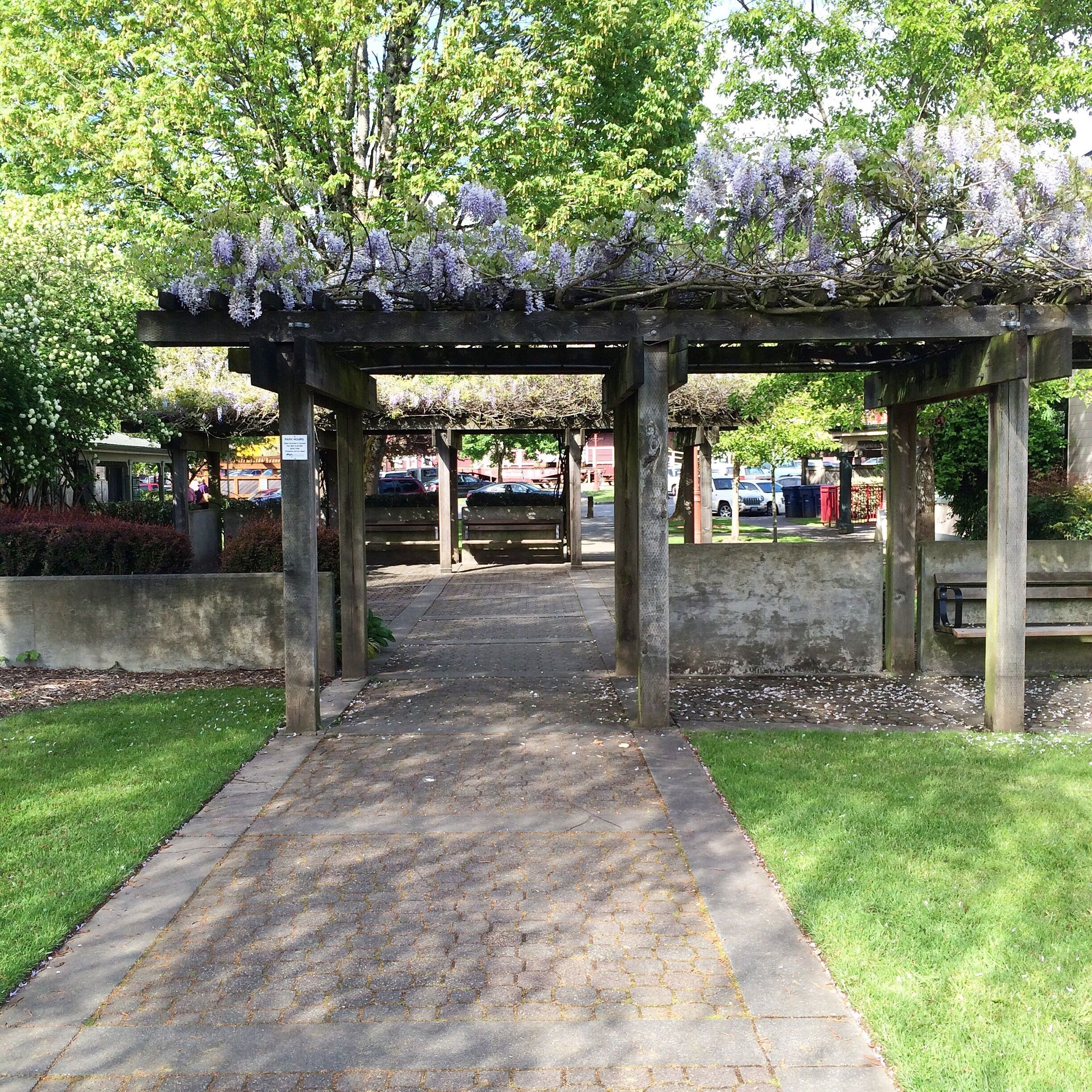 I enjoy walking around "downtown" Issaquah. Also, some cute shops and good spots for food/beer.