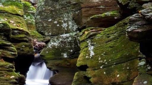 Another photo composition along the Trumbull Valley I found on my hike. The river flows through the green moss covered ledge.