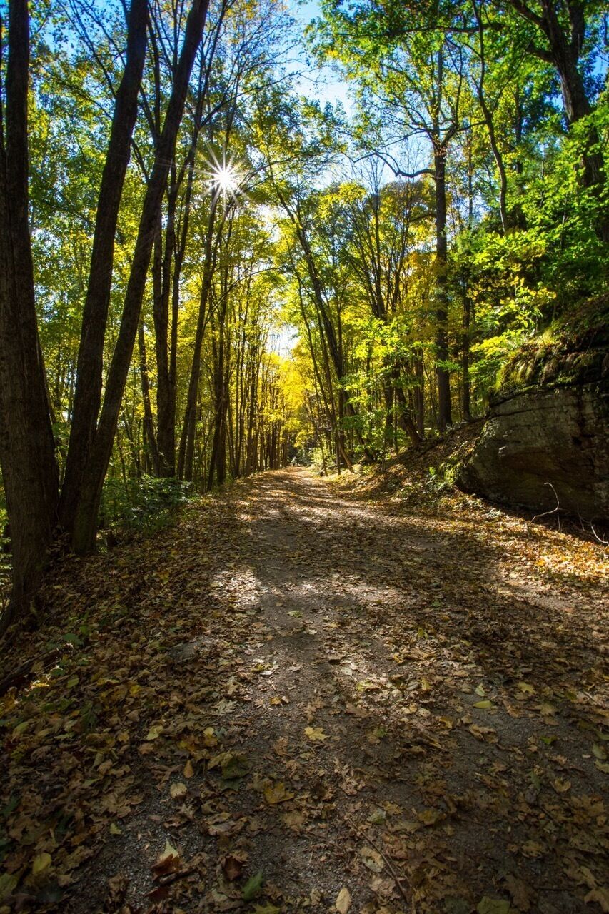 Hike through the Trumbull Valley along the Pequonnic River. My favorite place for a photo walk especially in fall.