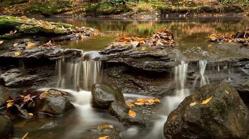 Image I created on my hike through the Trumbull Valley in Trumbull Connecticut.