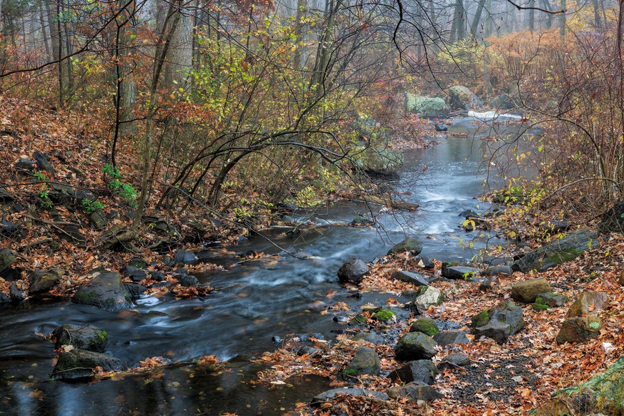 Stream in Autumn, Trumbull, Connecticut.