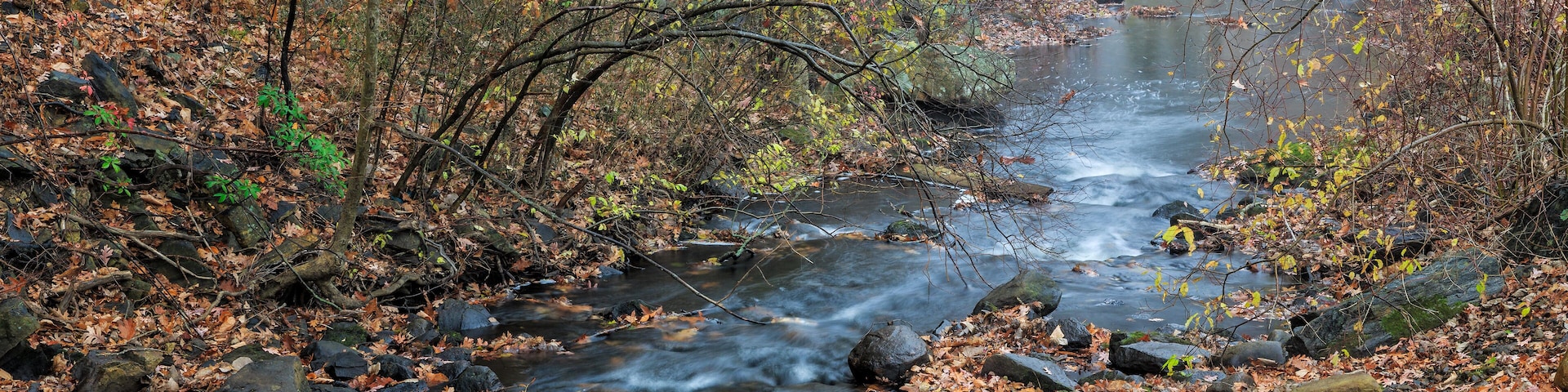 Stream in Autumn, Trumbull, Connecticut.