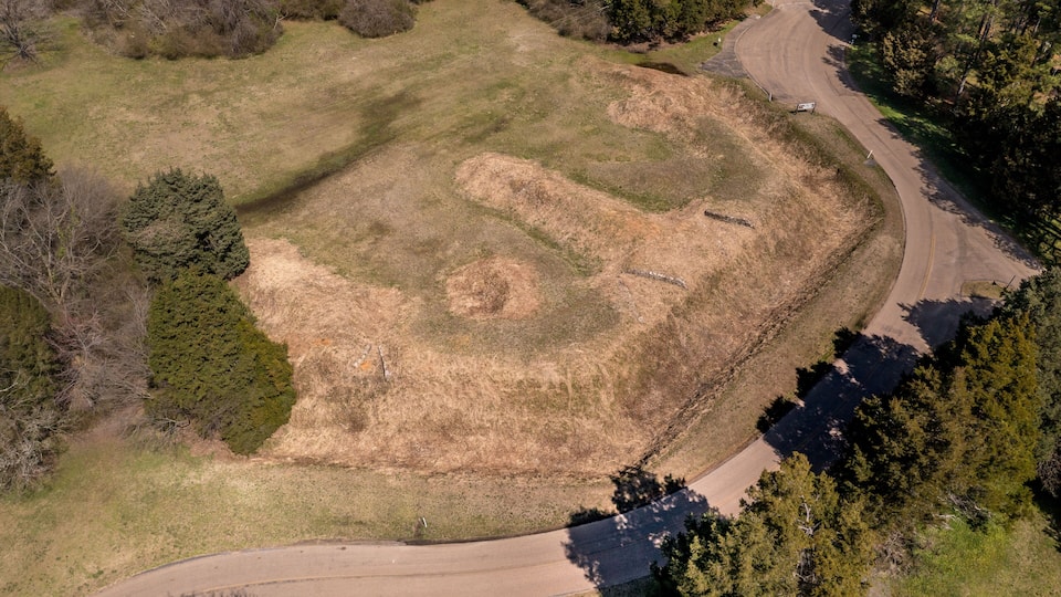 An aerial view of a winding road through a grassy area with patches of dry grass and a few trees.