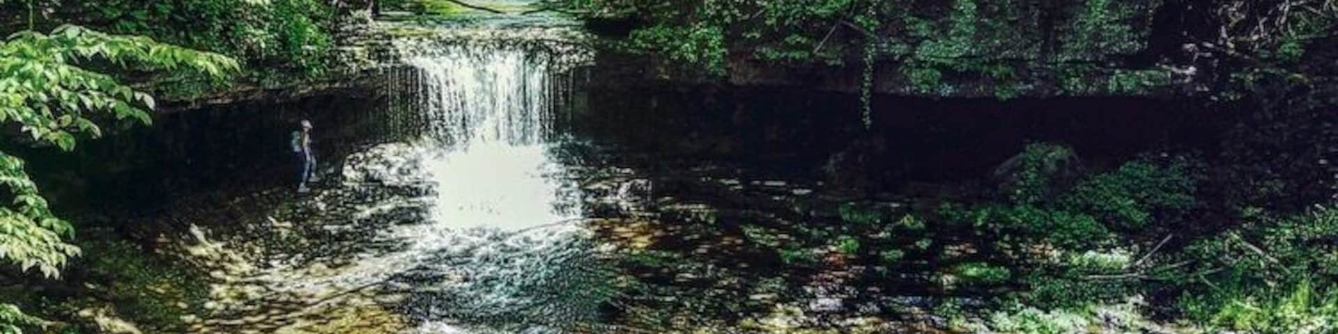 Pequena cascata numa área arborizada com vegetação densa e terreno rochoso.