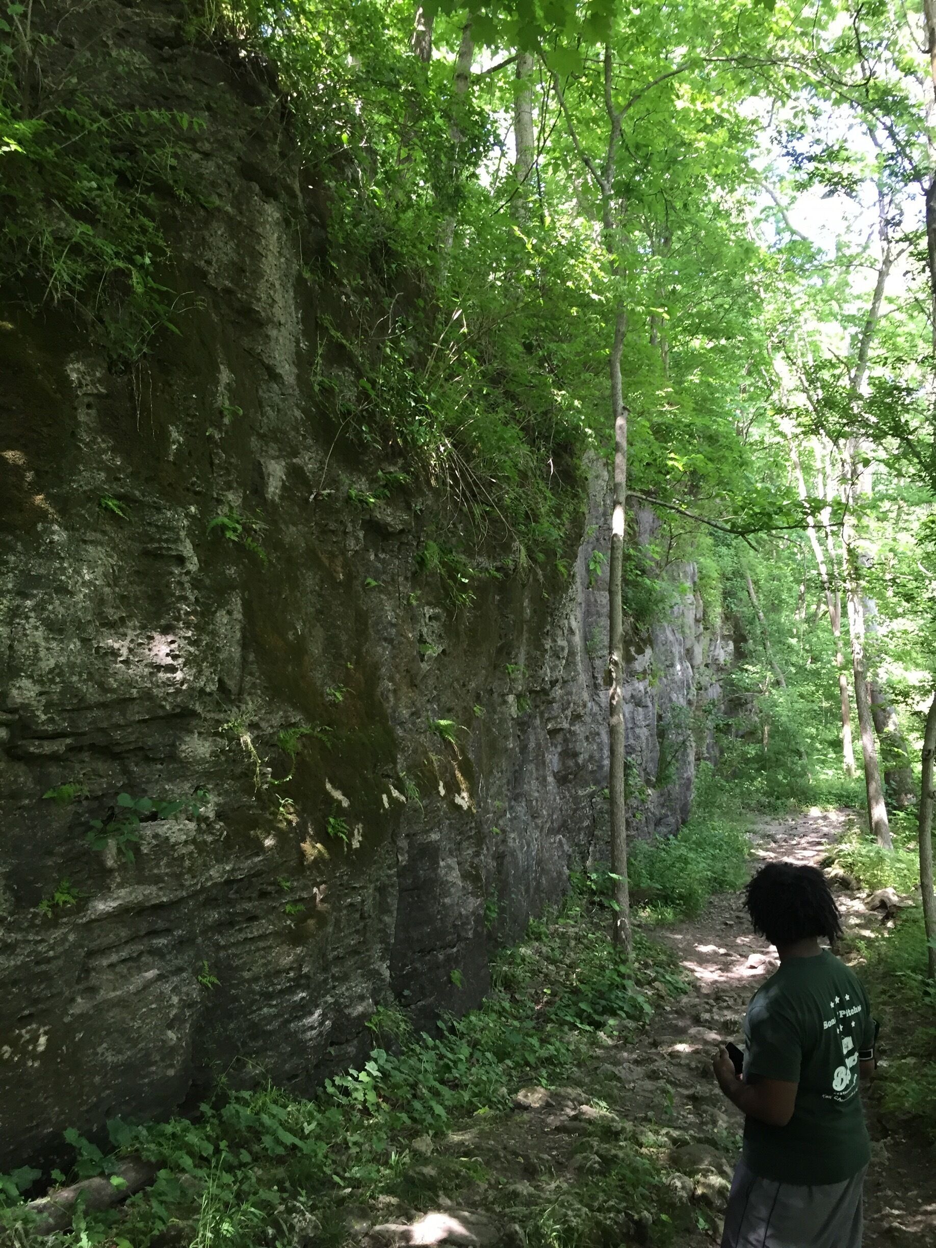 It's awfully tempting to scale this #rock wall! The #hiking here is beautiful and shady. 
#TakeAHike
#Ohio
#Statepark 