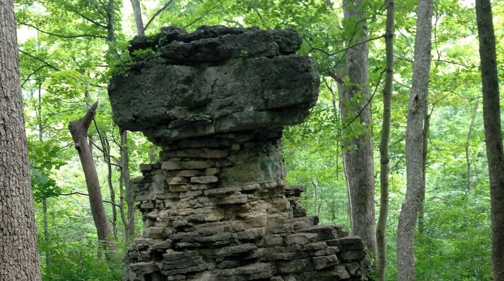 Pompay's Pillar, a bizarre rock formation in Glen Helen Nature Preserve. Just uphill you can see these same style of rocks where the vegetation has cleared off the cliffside. Easy walk from the parking lot near the museum. And a Mwenzie for a size reference. :)