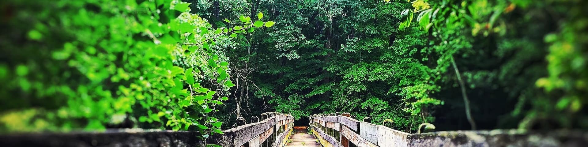 Beautiful place to visit.