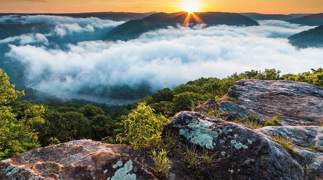 Sunrise in the New River Gorge in West Virginia
#goldenhour