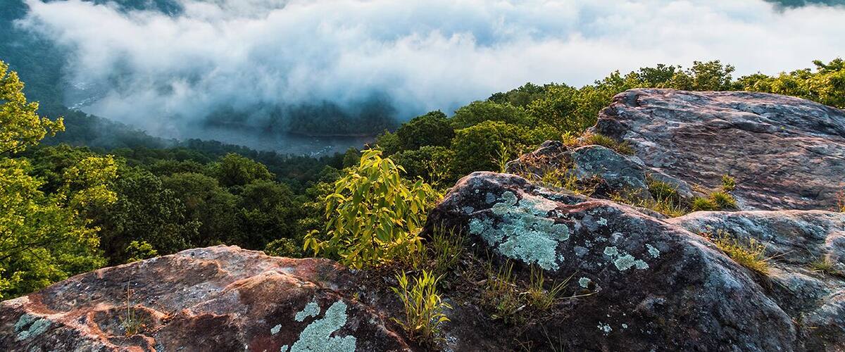 Sunrise in the New River Gorge in West Virginia
#goldenhour