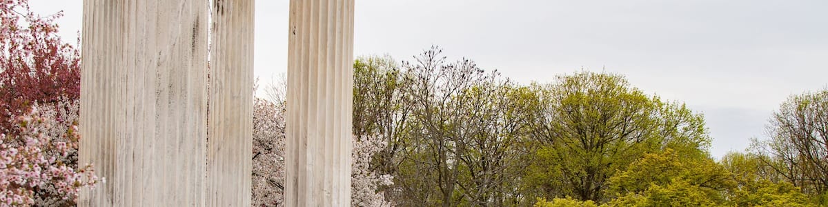 A classical fountain with columns, surrounded by a pool with a unique pattern, and cherry blossom trees in the background.