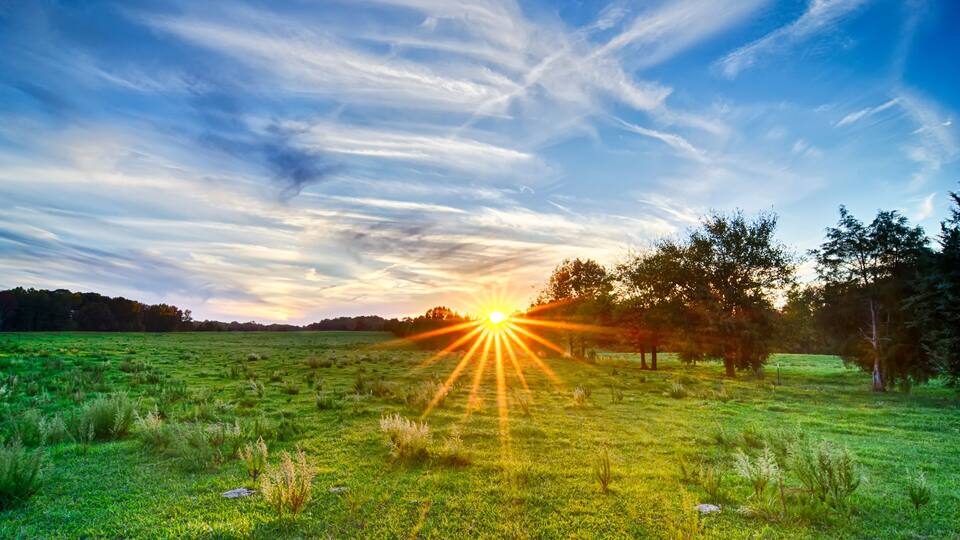 sunset on south carolina farm land