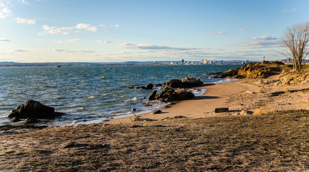 イースト ヘーヴン