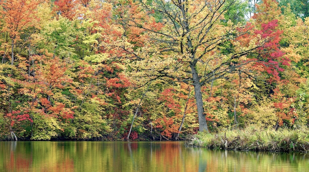 This area has beautiful fall foliage along the water.