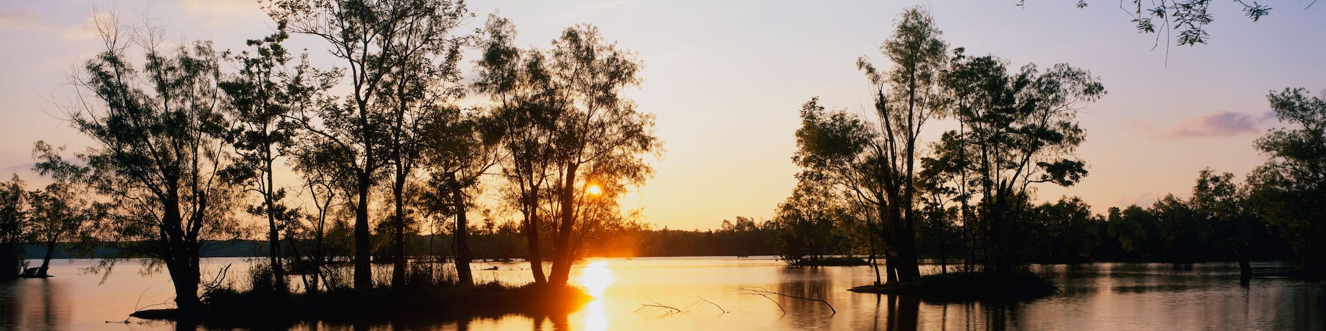 This is the wildlife refuge at Lake Fausse Pointe State park at sunset. The cypress trees are growing all around the lake and on islands in the water.